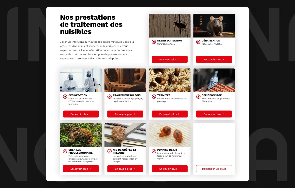 Portfolio Joker 3D Slide 2