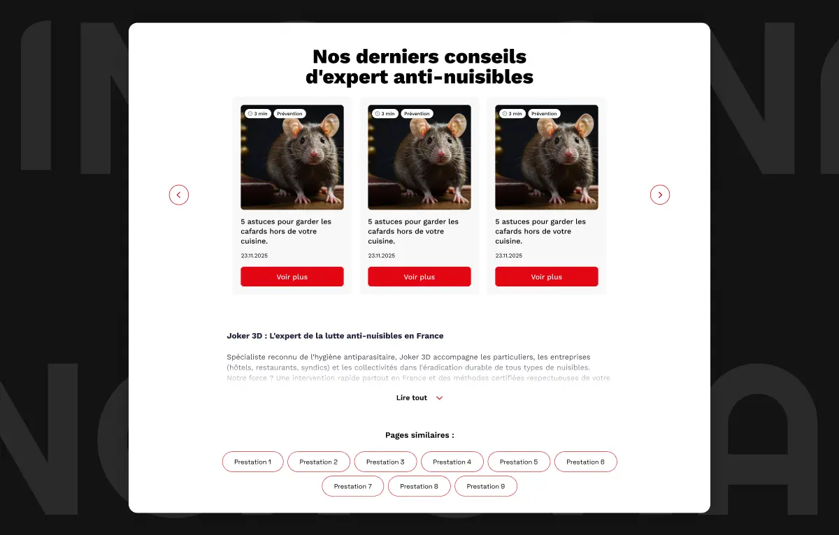 Portfolio Joker 3D Slide 3