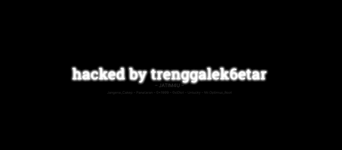 site piraté exemple